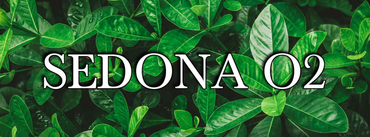 Sedona O2 Header